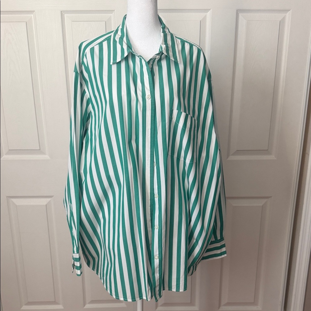 GAP The Big Shirt Green and White Striped Blouse